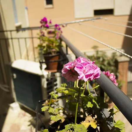 L'oasi Di Anna Konukevi